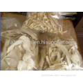 Air Dried Horseradish Flakes 